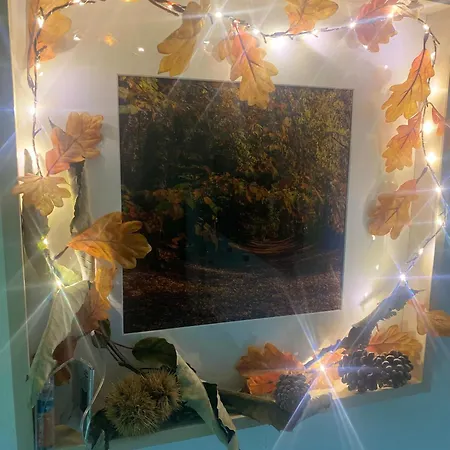 La Stanza Dei Castagni Villar Focchiardo