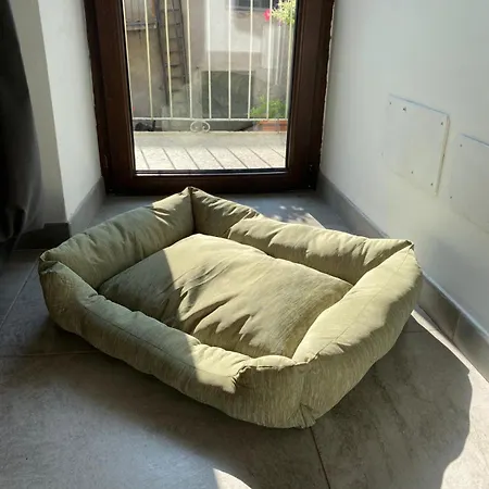 La Stanza Dei Castagni Apartament Villar Focchiardo
